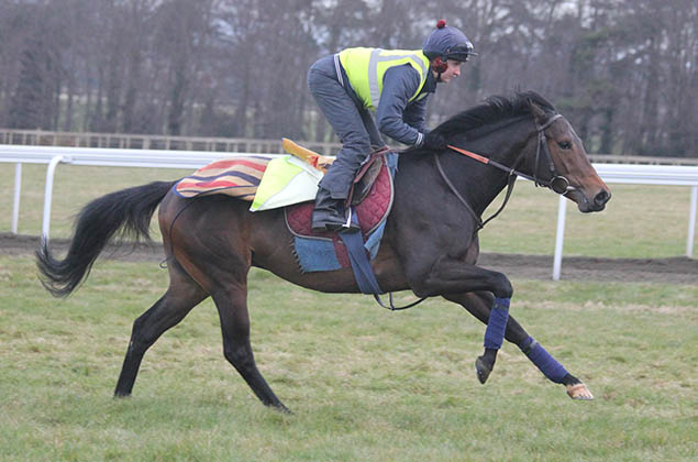 The Tin Man - Fred Archer Racing