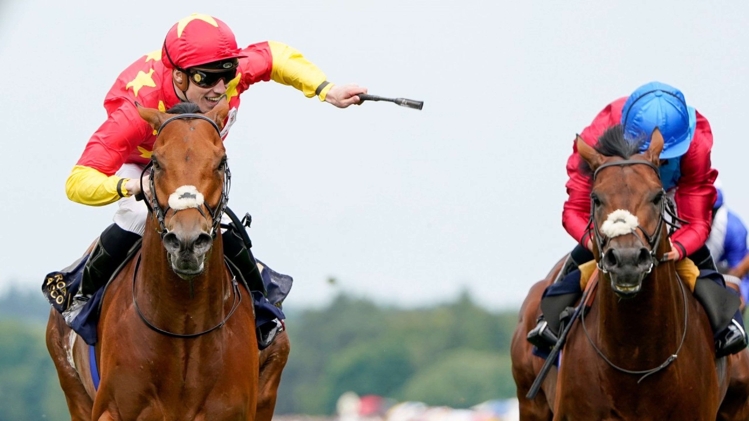 Blacktype Success feature image