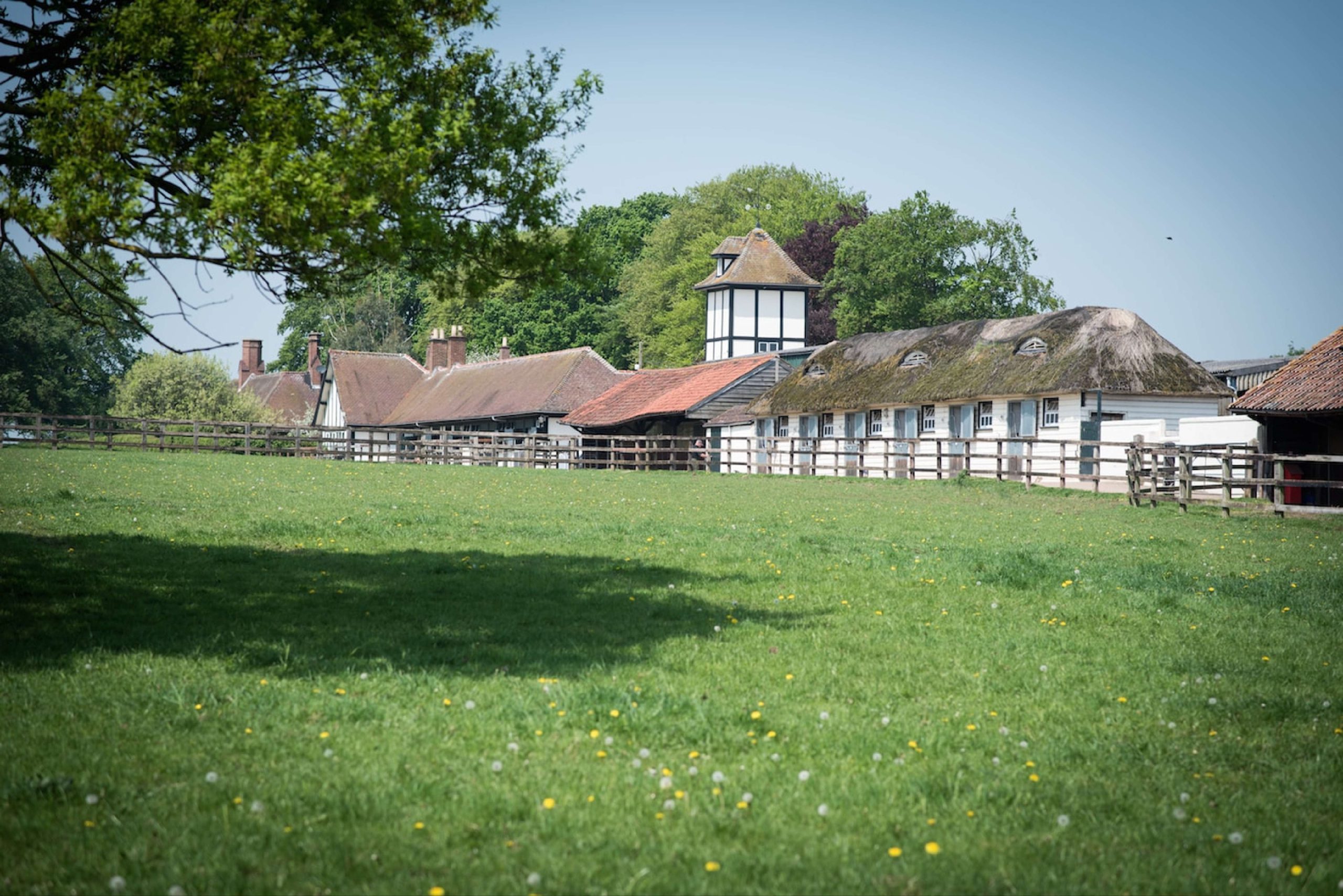 Sales Consigning feature image