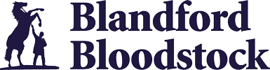 Blandford Bloodstock Logo