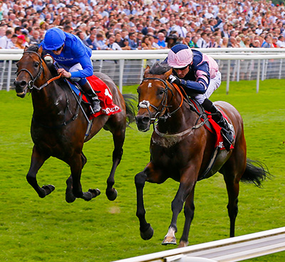 mondialiste-race-elwick-stud