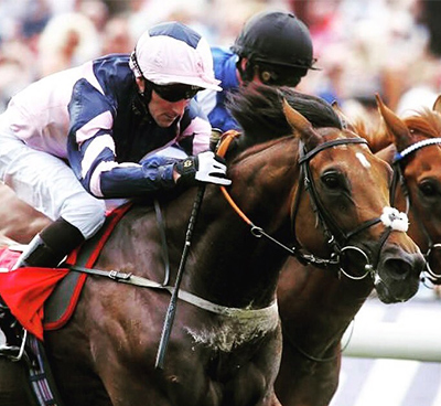 mondialiste-head-shot-elwick-stud