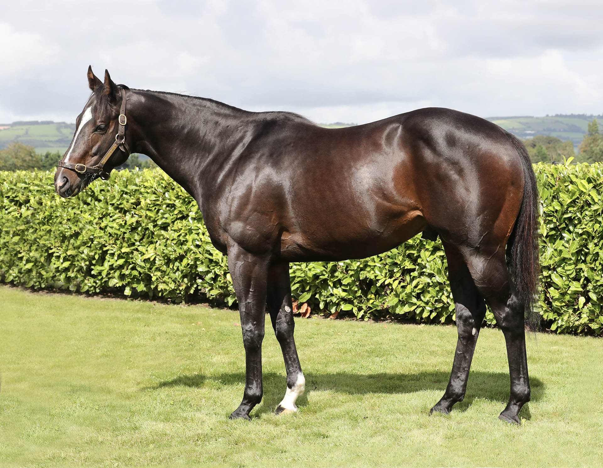 SOLDIER’S CALL feature image